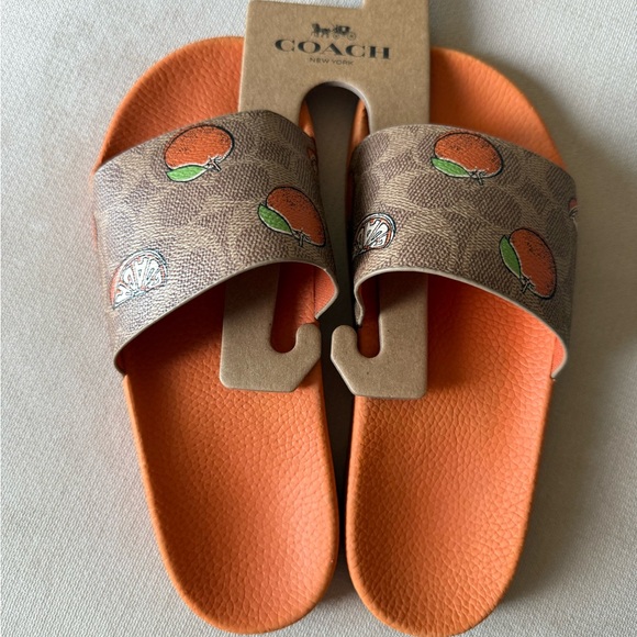 Coach Shoes - Coach Brown and Orange with Oranges Slide Sandals NWT